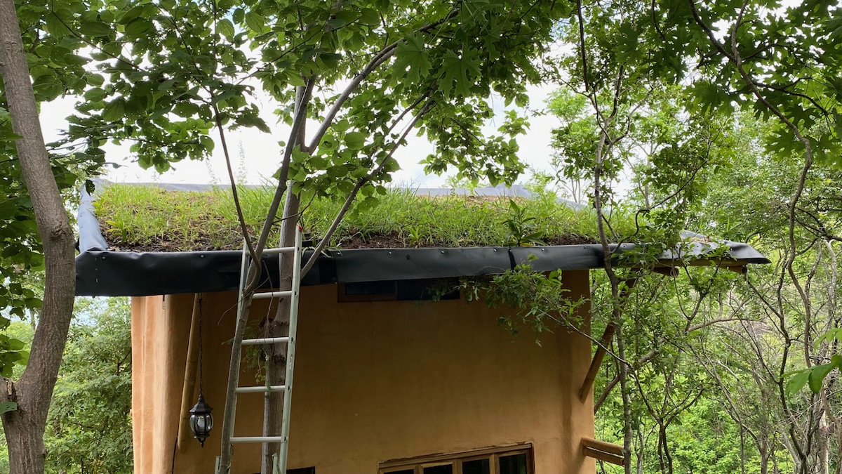 Techos Verdes: Naturaleza Sobre Tu Casa