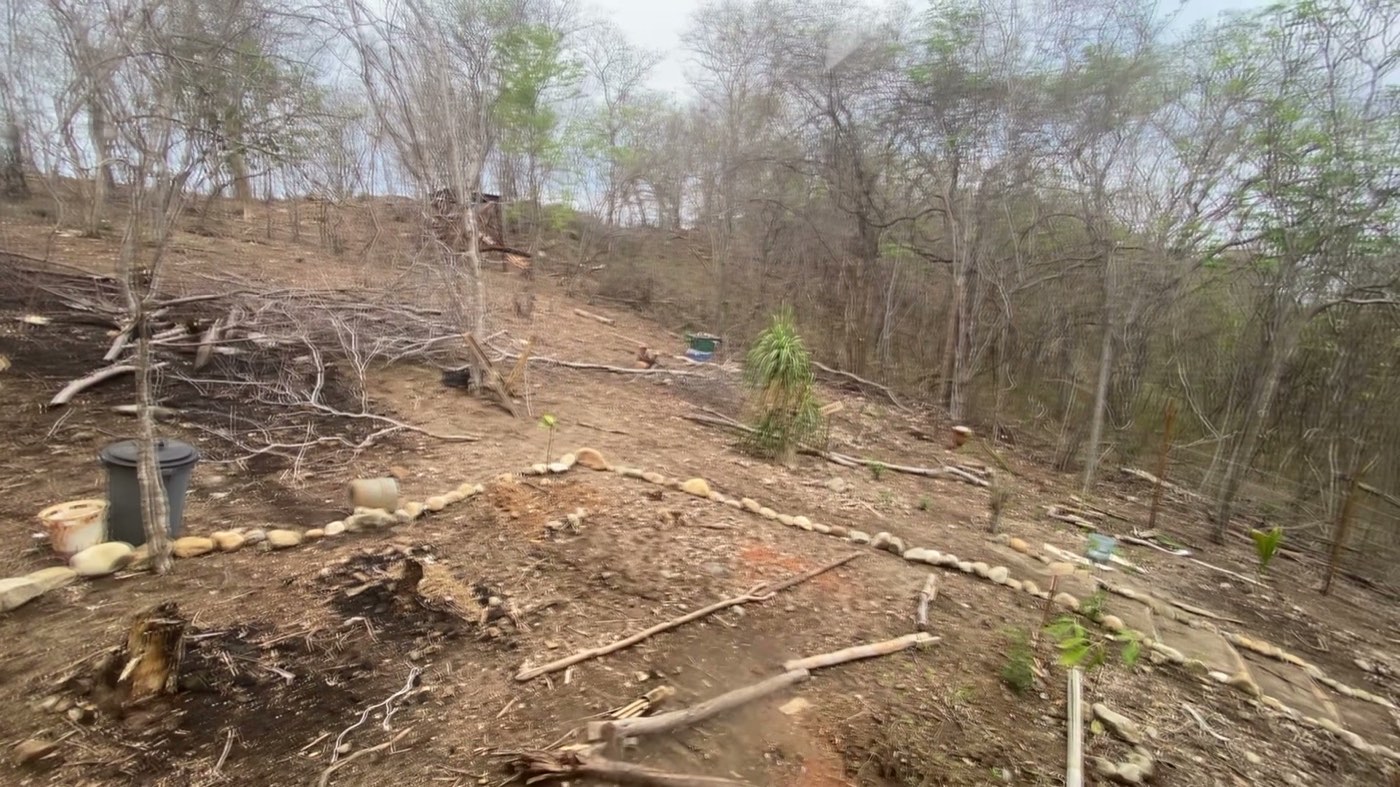 El terreno en el cerro donde se asienta la casa, en la costa de Oaxaca